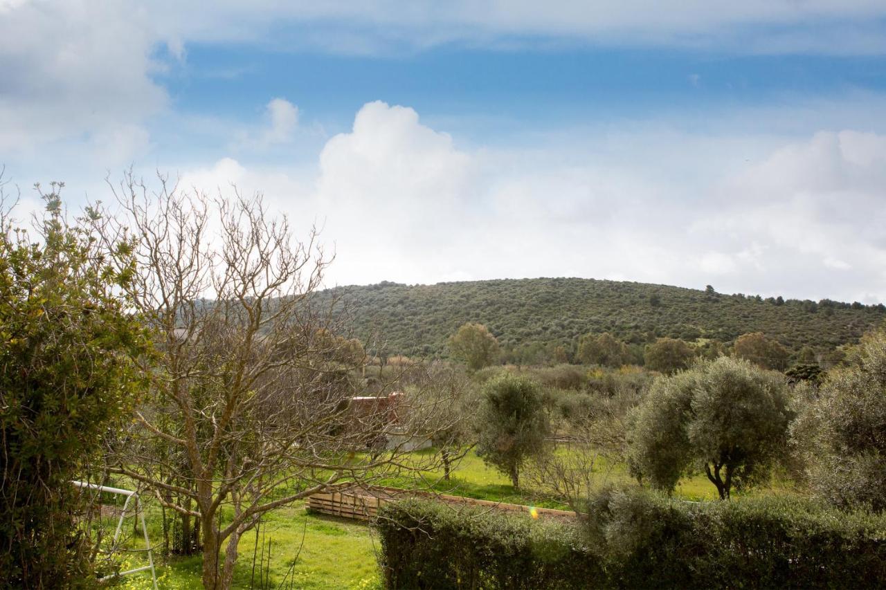 Alghero In Bicicletta المظهر الخارجي الصورة