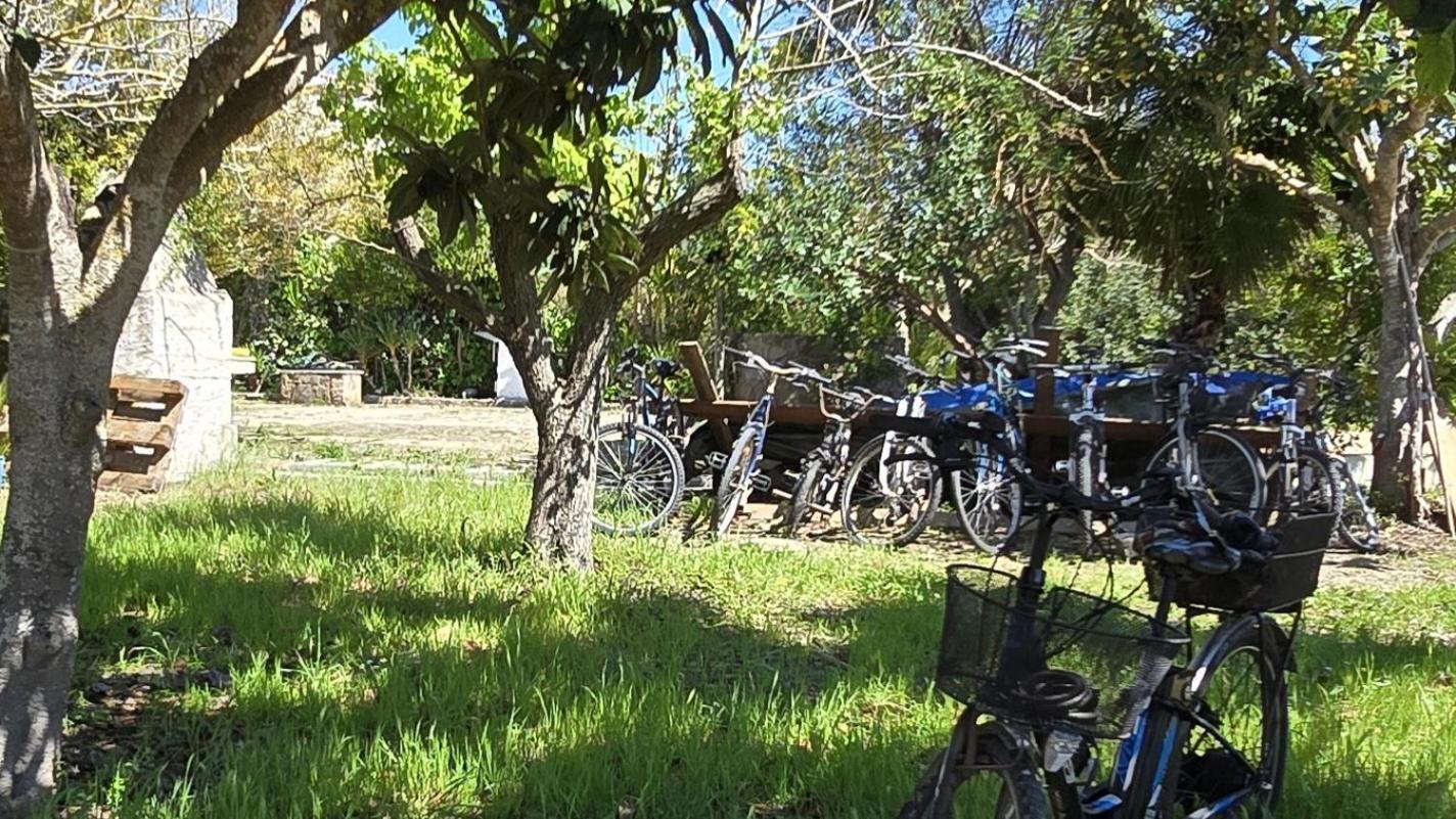 Alghero In Bicicletta المظهر الخارجي الصورة