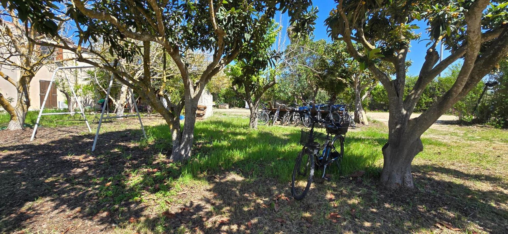 Alghero In Bicicletta المظهر الخارجي الصورة